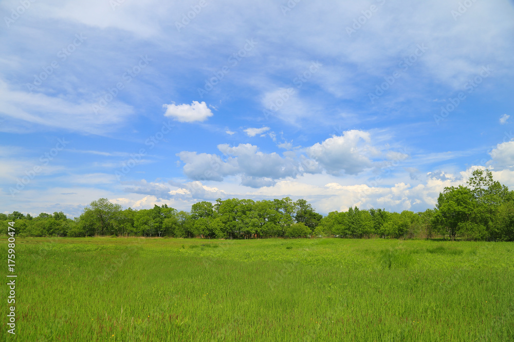 Summer landscape, blue sky and green meadow Summer landscape, blue sky and green meadow