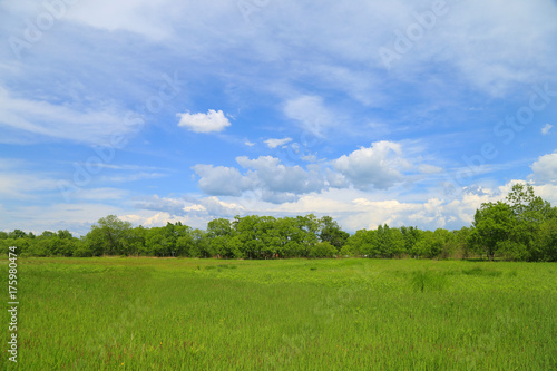 Summer landscape, blue sky and green meadow