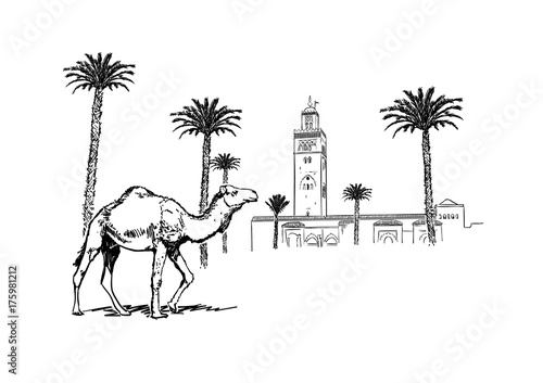 Marrakech la Palmeraie