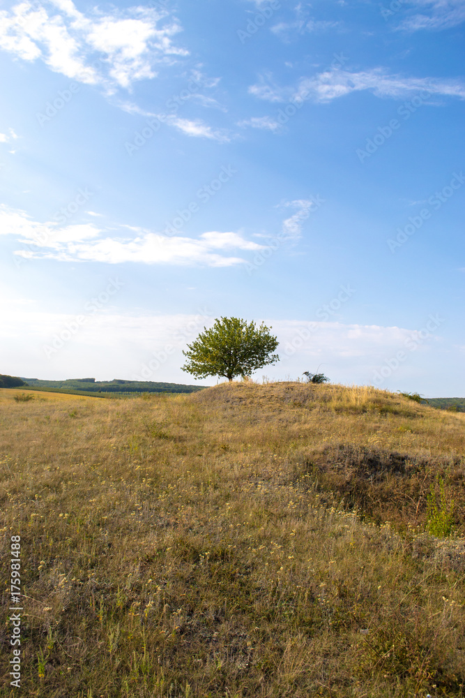 Autumn landscape on a sunny day outside the city.