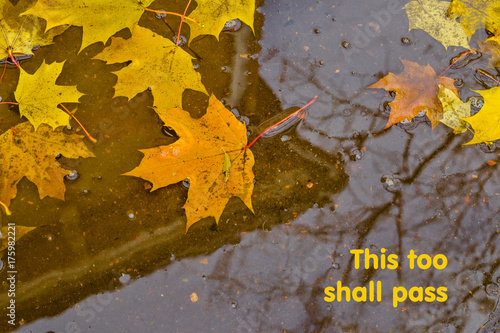 Postcard with an autumn theme. With the inscription 