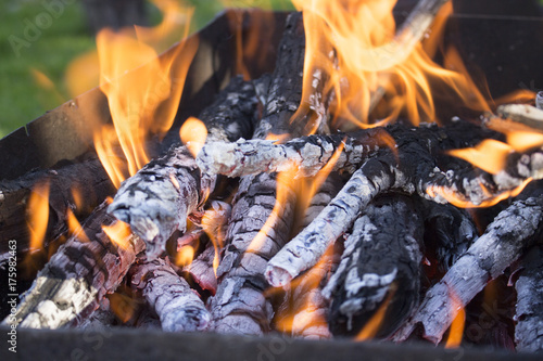 burning fire for roasting meat , close-up