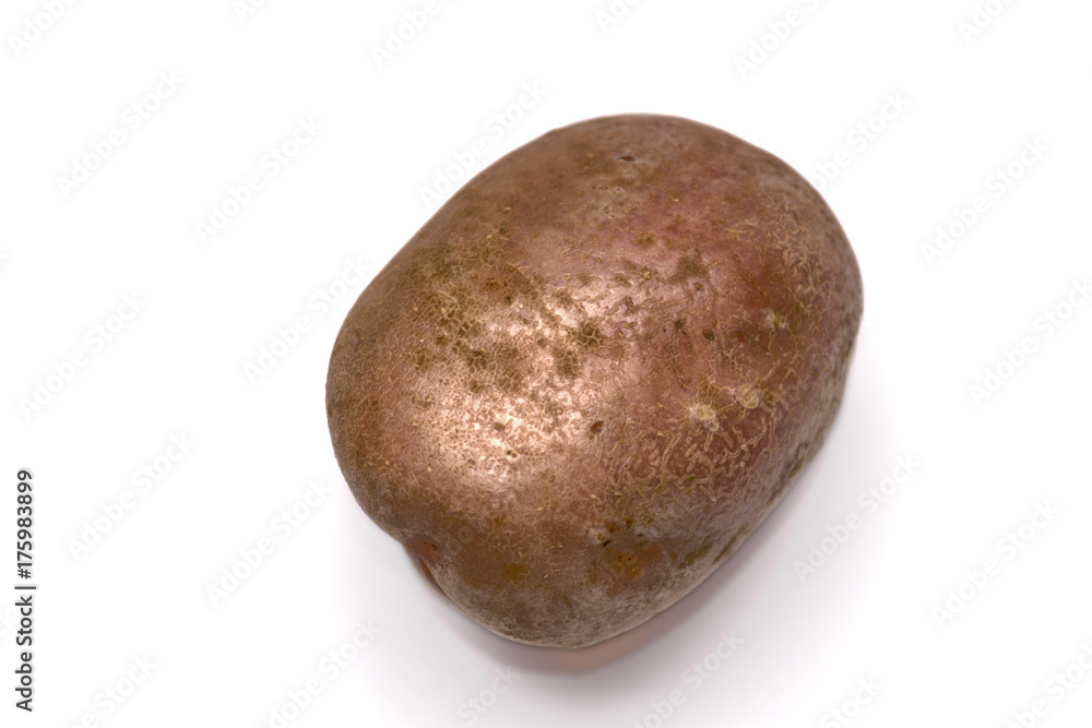 potatoes on a white background potatoes on a white background
