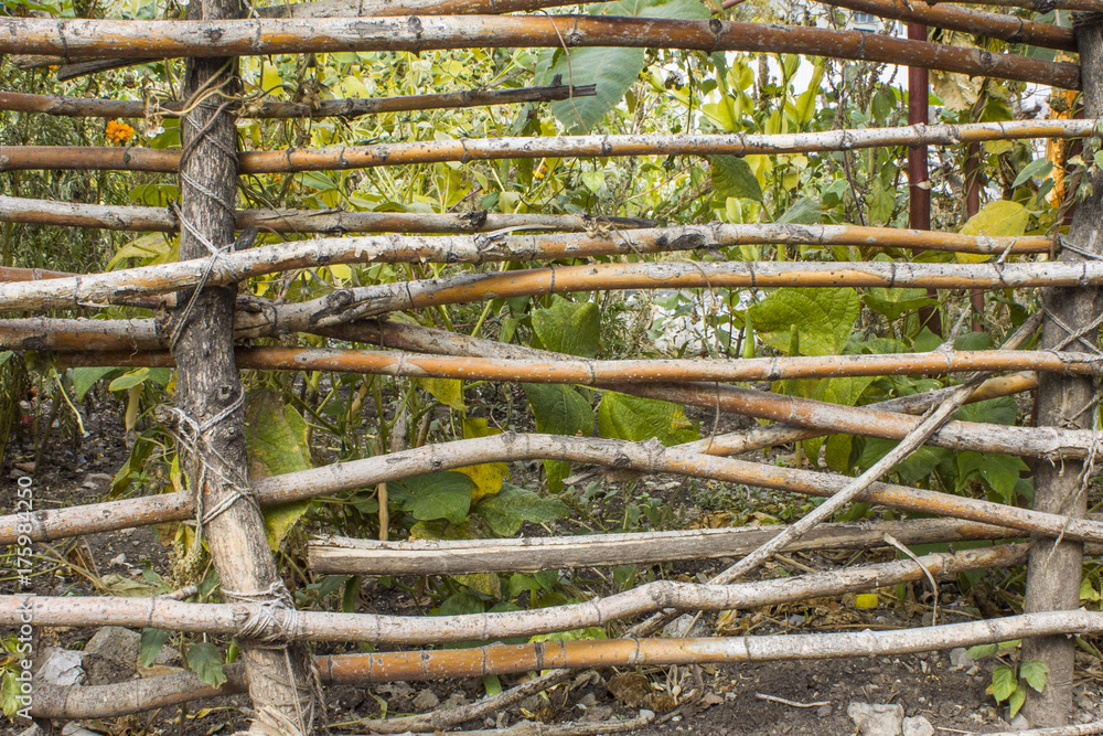 fence of a wooden vine fence of a wooden vine