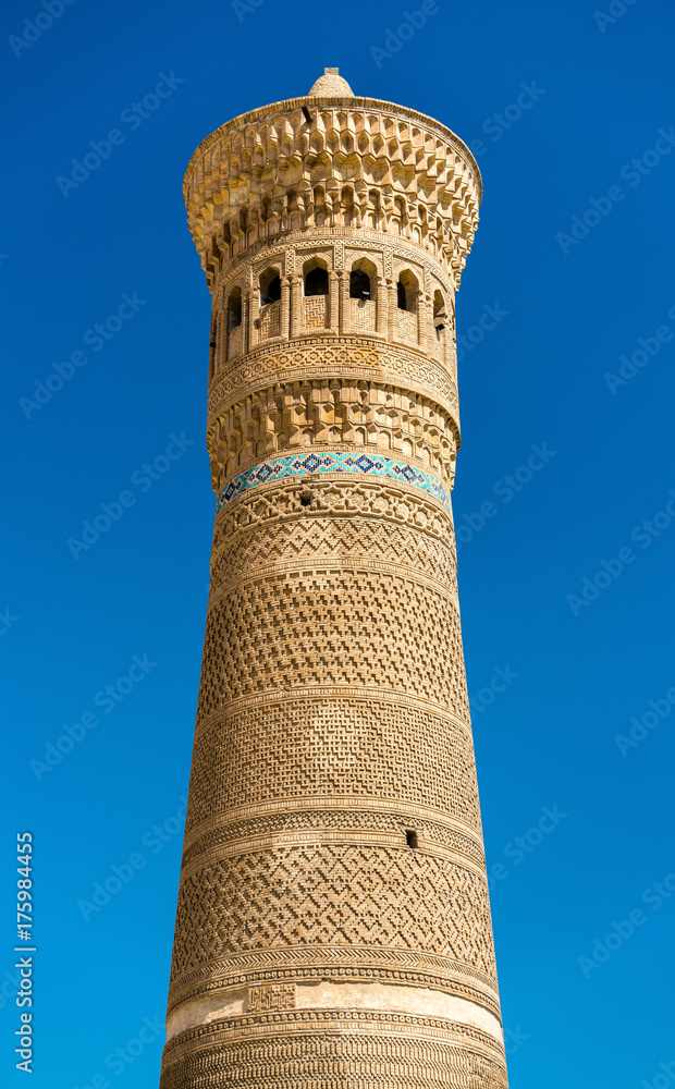 The Kalyan minaret in Bukhara, Uzbekistan