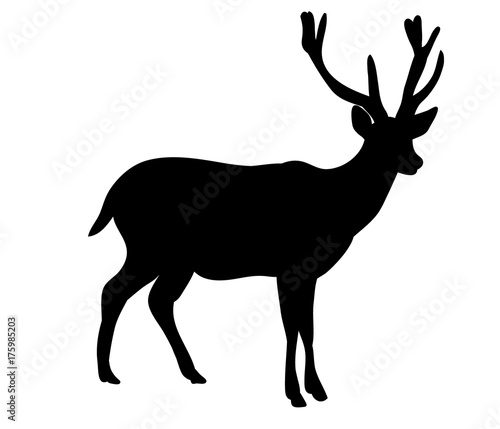 silhouette of a noble deer 