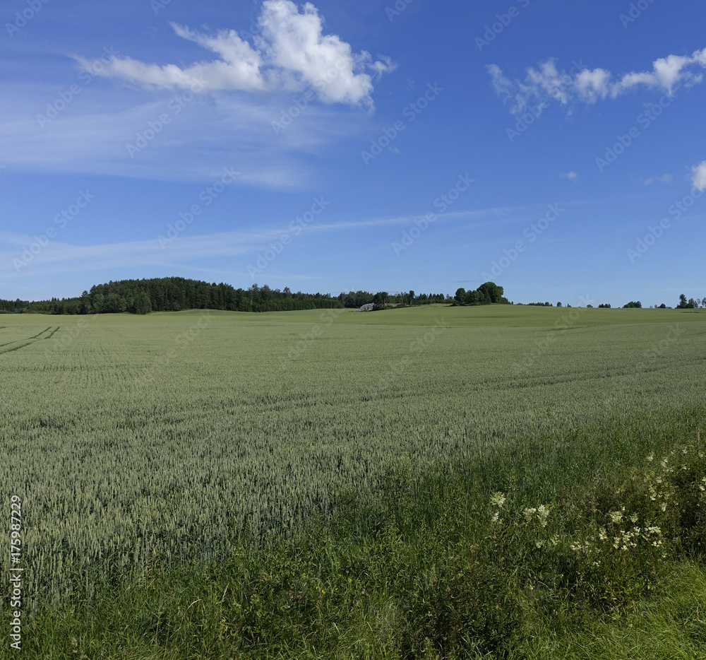 Farmland