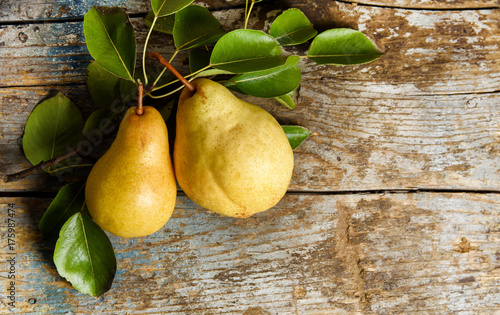 pears on rustic wooden background. autumn harvest with copy space