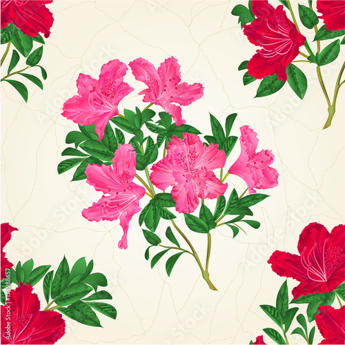 Fototapeta Naklejka Na Ścianę i Meble -  Seamless texture red and pink rhododendron twig mountain shrub vintage  vector illustration editable hand draw