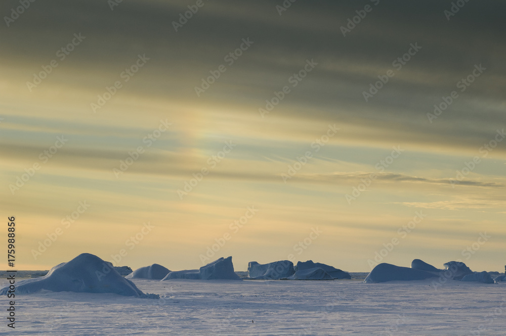 Penguins and grounded icebergs, Antarctica. Penguins and grounded icebergs, Antarctica.