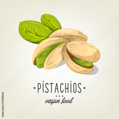 Vector pistachios icon isolated on background. Realistic nut with leaves and seeds. Drawn vegan plant good for recipe book, booklet, card, menu or banner design.
