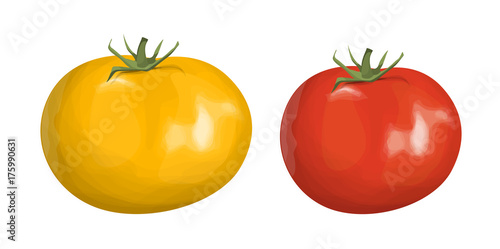 Red and yellow tomatoes.