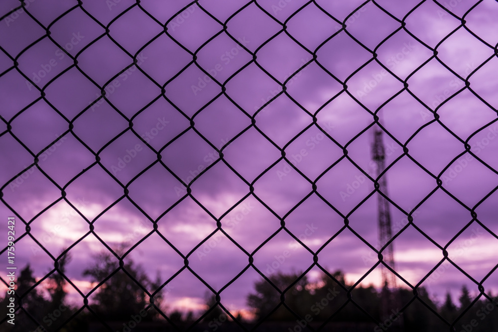 Fototapeta premium Fence texture. Purple sky in the background of mesh.