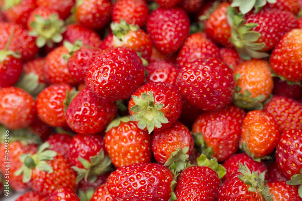 Organic Strawberries - Fragaria Organic Strawberries - Fragaria