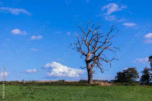 free standing