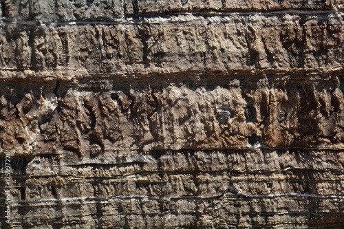 Surface of carbonate rock with weathering structures