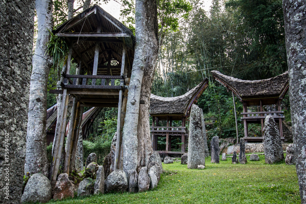 Tiny Tana Toraja village in rural scenery