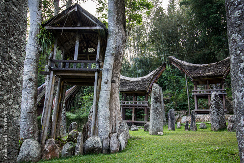 Obraz na płótnie Tiny Tana Toraja village in rural scenery w salonie