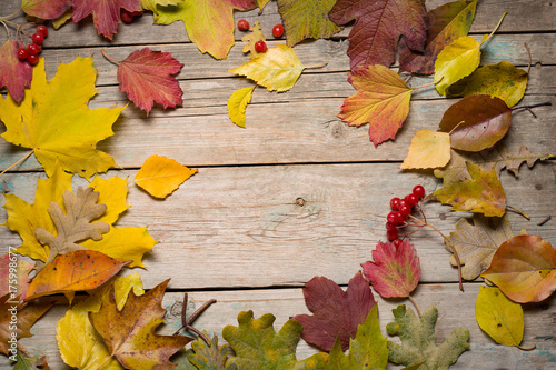 Autumn leaves on wooden boards