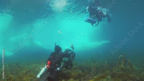 Wallpaper Mural Underwater photographer directing another scuba diver  Torontodigital.ca