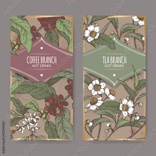 Set of two color labels with tea and coffee branch sketch. Hot drinks collection.