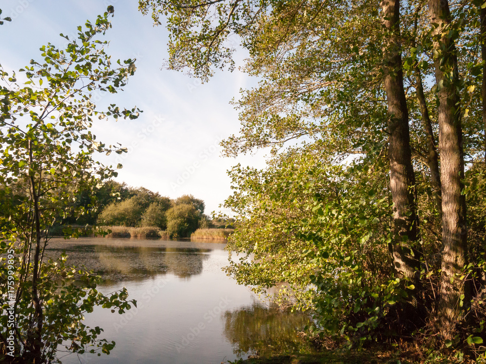 beautiful lake scene outside summer autumn green yellow beautiful lake scene outside summer autumn green yellow