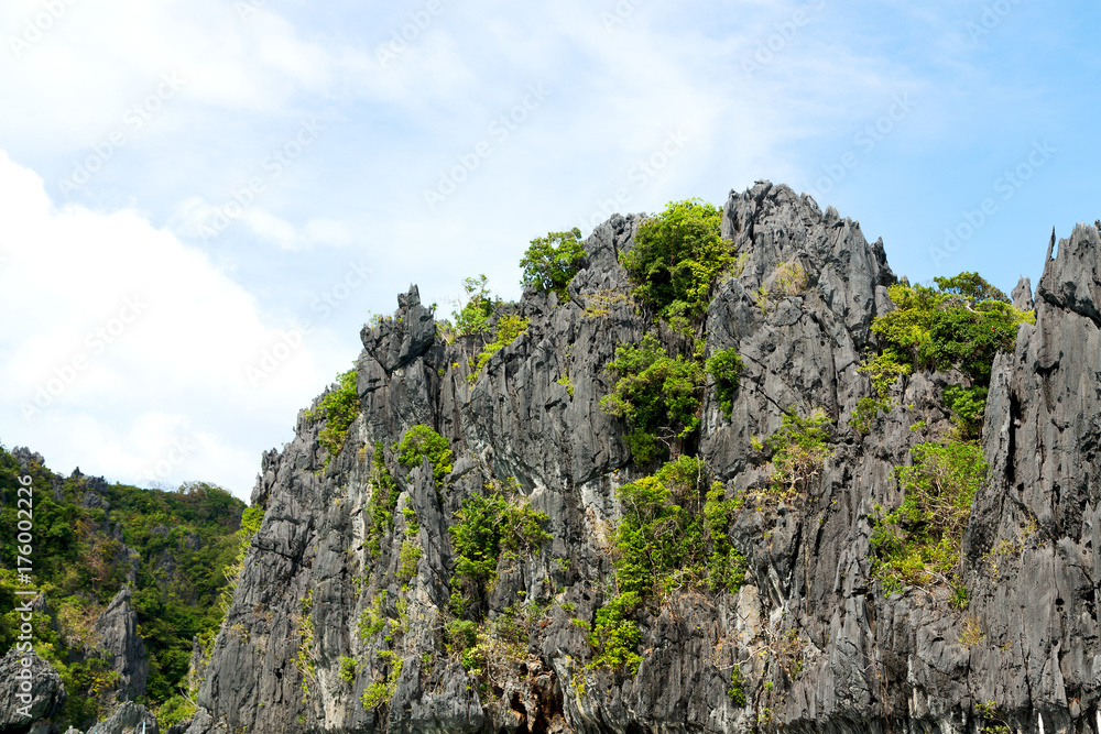 view from a boat of palm cliff beach and rock view from a boat of palm cliff beach and rock