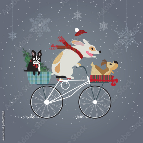 Three cute dogs on bicycle going to holiday party. Happy new year concept. 
Merry Christmas. Holidays greeting card.