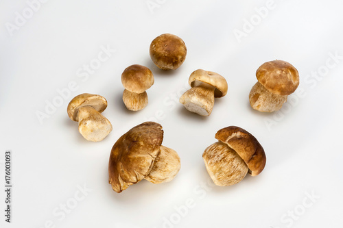 Group of Boletus Edulis mushroom isolated on white background