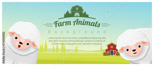 Farm animal and Rural landscape background with sheep , vector , illustration