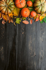 autumn background with pumpkins, autumn leaves, hops and oak acorns lying on a black wooden background