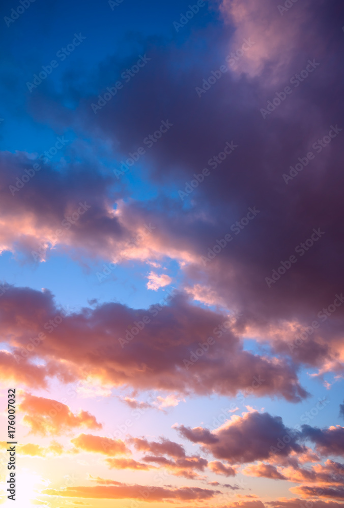 Clouds-lambs on a blue sky during a beautiful sunset.