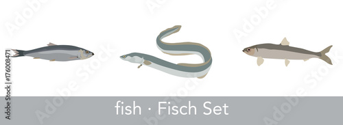 fish set