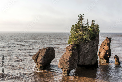 Sunrise famous Hopewell Rocks geologigal formations at low tide biggest tidal wave Fundy Bay New Brunswick Canada