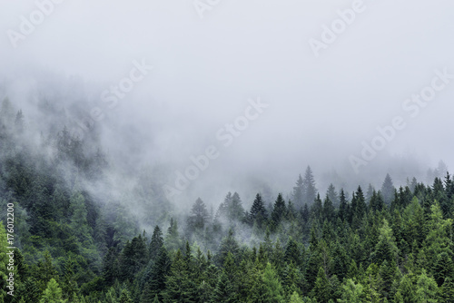 Fotoroleta góra alpy widok