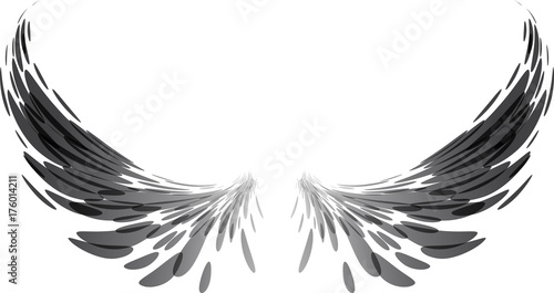 Black wings on white
