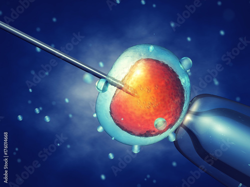 In vitro fertilisation , Injecting sperm into egg cell , Assisted reproductive treatment photo