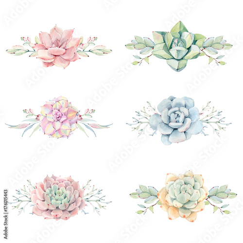 Watercolor vintage succulents bouquet