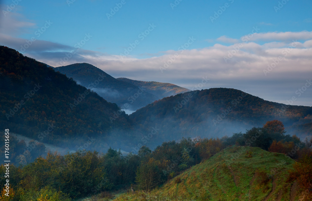 Color image of the clouds flowing through the pine trees