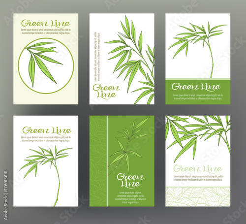 Bamboo. Set of six cards with traditional Japanese flowers. For 