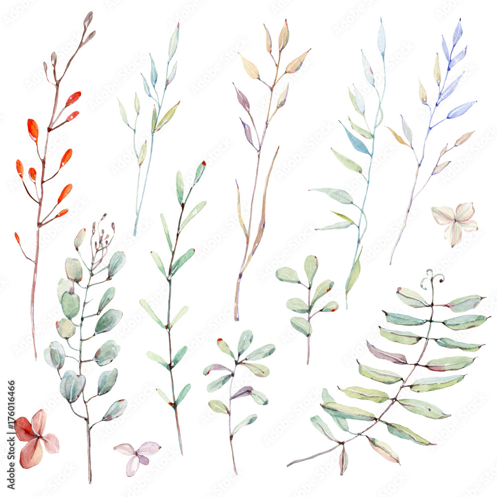 watercolor leaves collection. watercolor leaves collection.
