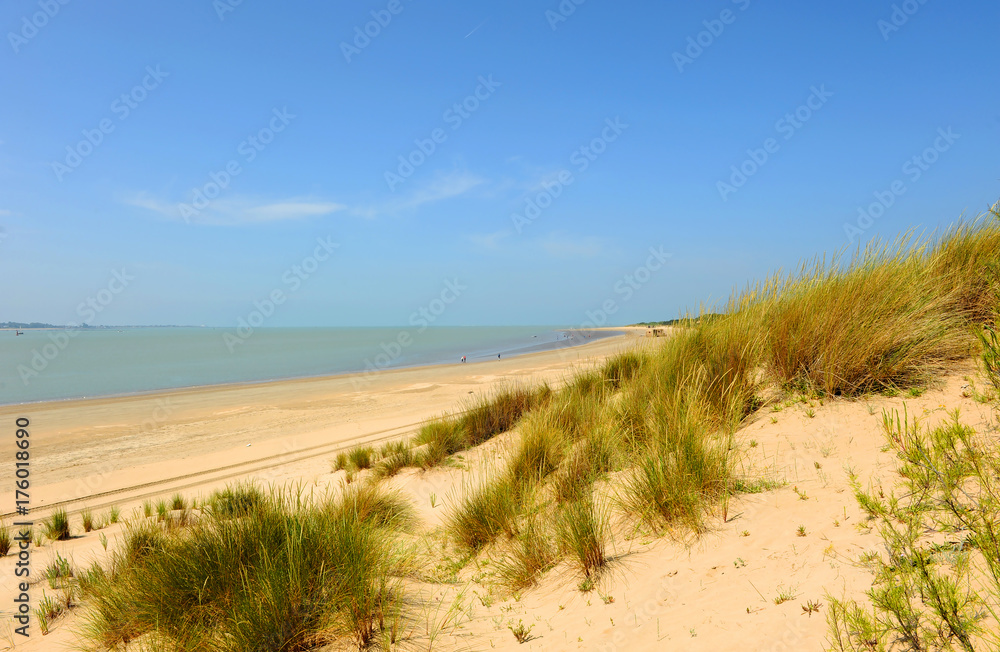 Beach in Doñana National Park, Huelva, Spain Beach in Doñana National Park, Huelva, Spain