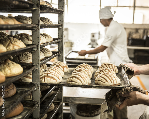 production of shells in the bakery