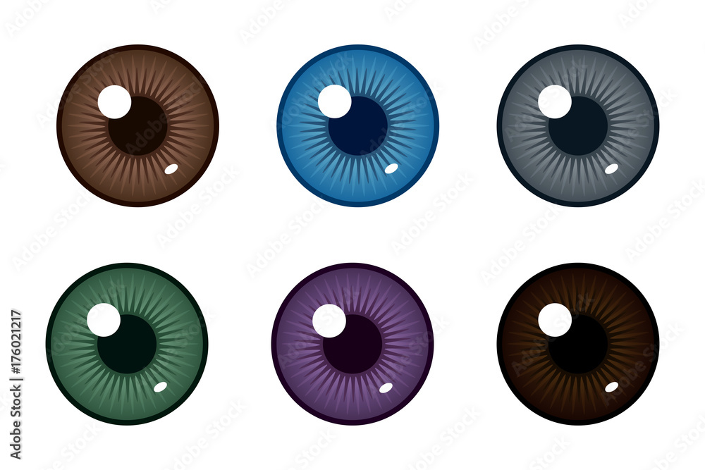 Human pupil of eyeball. Color of eyes. Realistic vector illustration ...