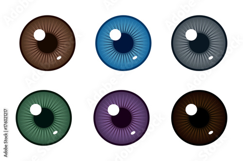 Human pupil of eyeball. Color of eyes. Realistic vector illustration