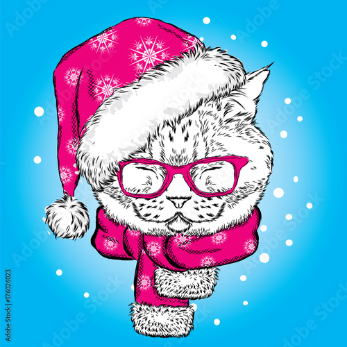 Funny cat in a Christmas hat and scarf. Vector illustration for card or poster, print on clothes. New Year's and Christmas. © vitalygrin