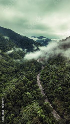 An aerial view of  Road or bridge is in the middle of a forest