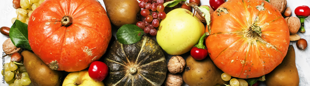 Autumn food background with pumpkins, vegetables, fruits and nuts, thanksgiving concept, banner, top view