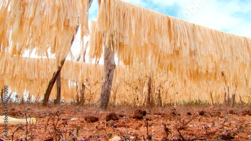 Low angle shot of sisal fibre hanging on lines 