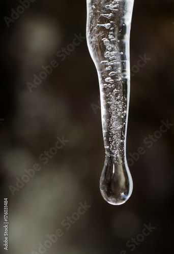 Water melts off an icicle